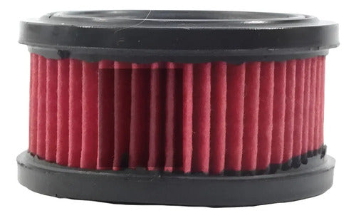 Filtro De Aire Para Echo Cs440 Cs450 Cs510 Raosamx F-7002