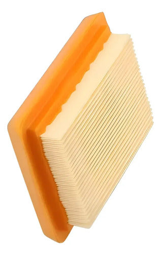 Combo Filtro Aire Gasolina Para Stihl Fs250 Fs300 Andavis