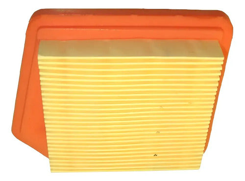 Kit Carburador Y Filtro Aire Para Stihl Fs161 Andavis