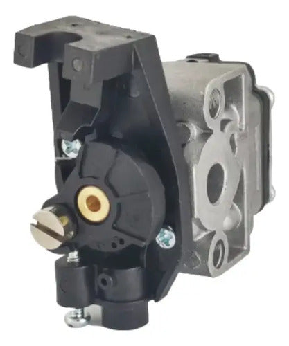 Carburador Para Aspersora Fumigadora Para Honda Wjr4025