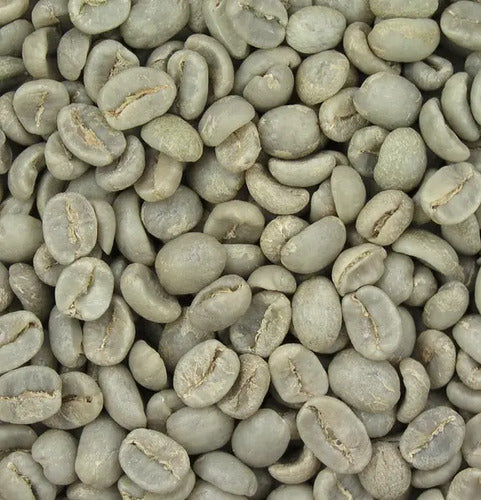 Café En Grano Verde Gapesh Arabica En Bolsa Sin Tacc 9 Kg