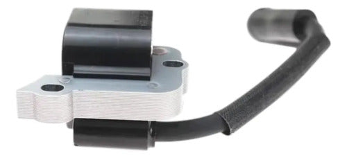 Bobina Módulo Para Stihl Fs38 Fs45 Fs55 Profesional