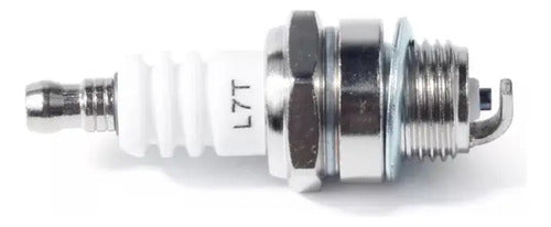 Carburador De Desbrozadora Para Stihl Fs38 Fs55 Fs46 Combo.