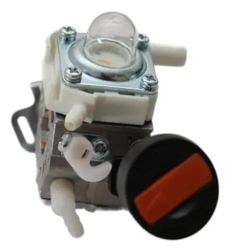 Carburador Repuesto Para Stihl Fs161-l Fs221-l Andavis