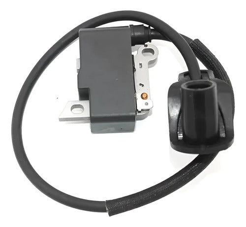 Bobina De Encendido Para Fs120 Fs250 Despues Del 2016