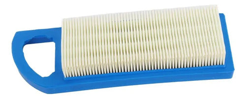 Filtro De Aire Para Briggs Stratton  697153 698083 697014