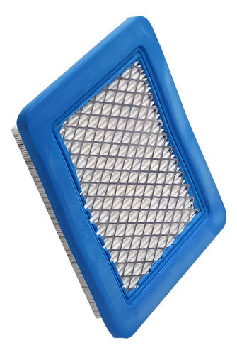 Filtro De Aire De Motor Para Briggs Stratton 3.5-5hp Quantum