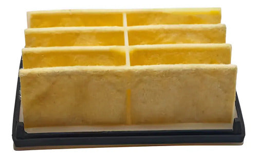 Filtro De Aire Para Husqvarna 261 262 266 268