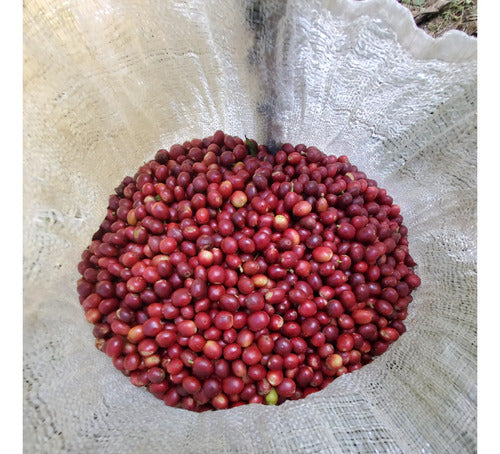 Cafe Molido Gapesh 340g Especialidad Robusta Oaxaqueño.