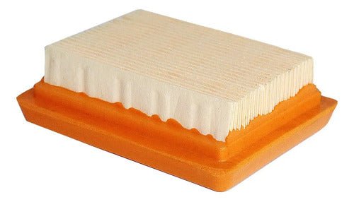 Combo Filtro Aire Grasa Para Stihl Fs200 Fs250 Fs300 Andavis