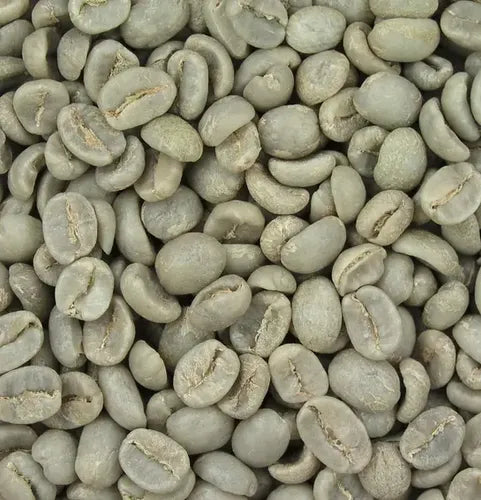 Cafe Verde De La Sierra Norte - Oaxaca Gapesh 9kg