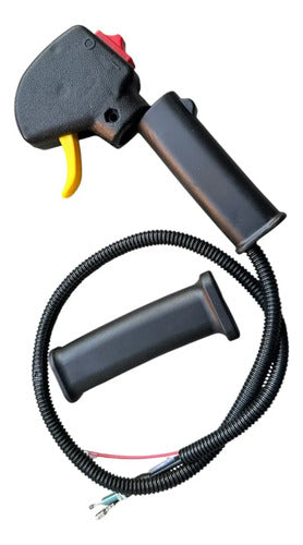 Switch Mando Acelerador Para Gx35 139f Andavis