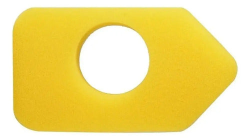 Filtro De Aire Padadora Briggs & Stratton Motor 3.5hp 4.5hp.