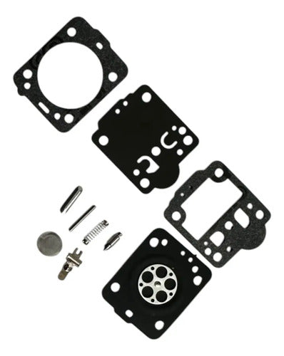 Kit De Repuestos Fumigadora Para Stihl Sr200 Andavis