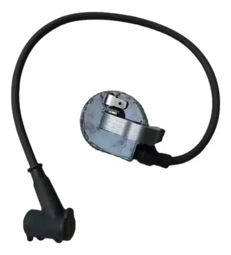 Bobina De Encendido De Desbrozadora Para Stihl Fs280 Fs280k