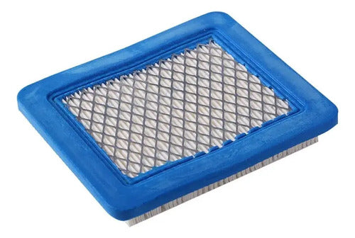 Filtro De Aire Podadora Briggs Honda Hidrolavadora 491588s.