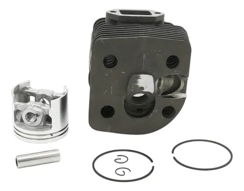 Cilindro Completo  Para Fs420 Fs500 Fs550 Andavis