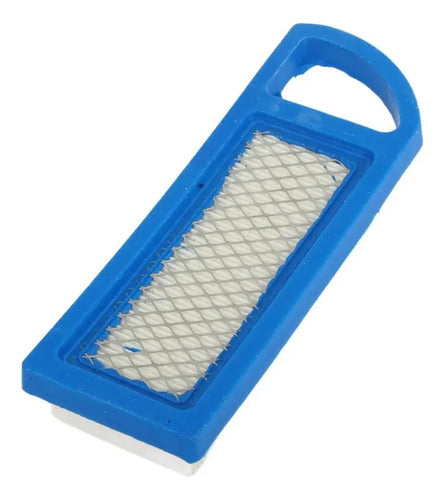 Filtro De Aire Para Briggs Stratton 697634 795115 797008.